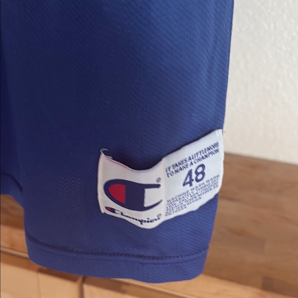 Champion Dallas Blue and Green Basketball Jersey - Picture 6 of 6